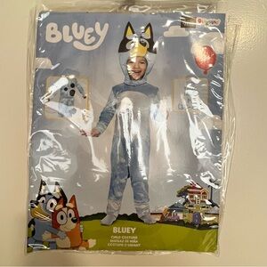 Bluey costume used a few times. All items intact. Like new.